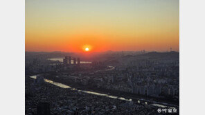 붉은 말의 해, 살곶이 벌판을 물들이는 생명의 기운[전승훈 기자의 아트로드]