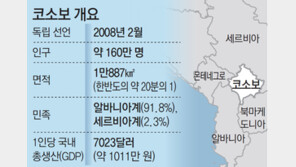 ‘발칸 최빈국’ 코소보, 끝없는 혼란… 與 과반 확보 못해[지금, 여기]