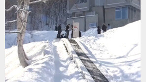 日스키장 에스컬레이터에 5세 아이 팔 끼여 사망