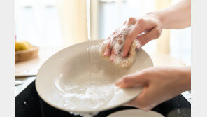 귀찮아서 물에 담가둔 그릇…식중독 세균의 ‘온천’ 된다