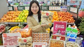 롯데마트, 신년맞이 떡국 등 먹거리 최대 50% 할인