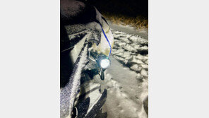 “이게 된다고?” 전조등 대신 손전등 꽂고 달린 美 운전자