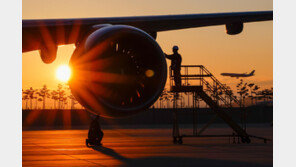 사망사고 낸 항공사, 1년간 운수권 배분 못 받는다