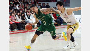 ‘농구영신’서 맞붙는 공동 3위 KCC와 DB…알바노 vs 허웅 승자는?