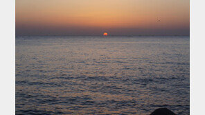 강추위 뚫고 해돋이… 내일 최저 영하15도