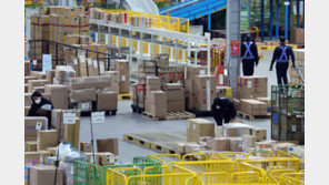 내년 6월부터 위험성 판별된 직구제품…정부가 반송·폐기·유통 차단 나선다