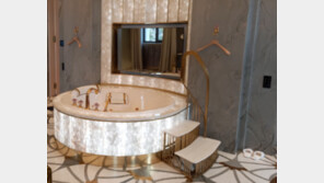 황금 욕실에 노화 냉동치료실도…‘푸틴 비밀궁전’ 폭로