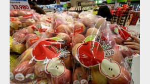 12월 물가 2.3% 상승…사과 19.6%·쌀 18.2% 급등