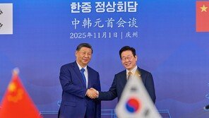 中매체 “김구 독립운동 이끈 인물”…李 방중 맞춰 공동 항일투쟁 부각