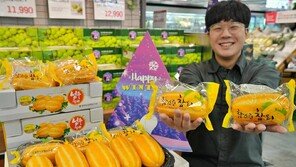 한겨울에 만나는 참외 