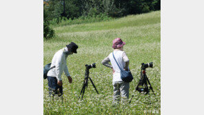 [사진기자의 사談진談/신원건]사진: ‘나’를 만나는 최고의 취미