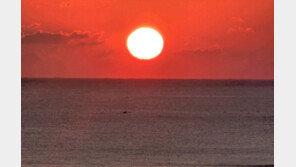 새해 첫 해 몇시에 뜨나…“일출 보려면 아침 7시엔 준비해야”