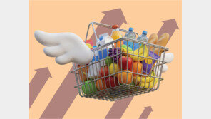 경유 11%-수입소고기 8% 올라… 고환율 영향 본격화 올해 더 걱정