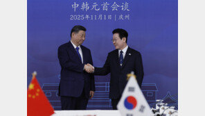 中매체, 李 방중 앞두고 ‘김구 항일투쟁’ 부각