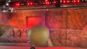 디즈니 공연서 아이들 향한 180㎏공 온몸으로 막은 직원