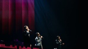 브라운 아이드 소울, 그들은 정말 노래했을까