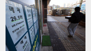 송파 21%, 강북 0.99% 상승… 서울 집값 양극화 ‘역대 최대’