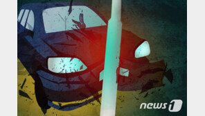 약에 취해 운전하다 전봇대에 ‘쿵’…30대 여성 현행범 체포