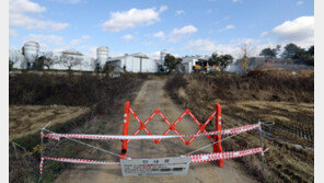 증평 산란계 농장서 H5형 AI 항원 검출…4만 마리 살처분 예정