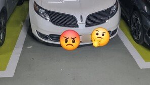 보행자 통로 막고 ‘떡하니’…새해부터 ‘민폐 차주’ 등장