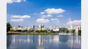 포르투갈 식민지에서 브라질 최대 도시로 성장한 상파울루