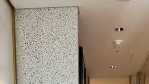 나혜미, ♥에릭 닮은 아들 공개…“사랑해 우리 강아지”