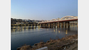 올겨울 처음으로 한강 얼었다…지난해보다 37일 일러