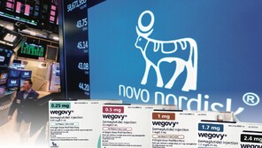 ‘먹는 비만약’ 시대 활짝… 노보노디스크 위고비 알약 美 FDA 승인