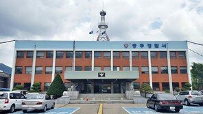 “외국인이 총 들고 가요”…새 사냥 총포 만든 불법체류자들