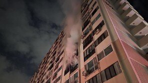 화염 뚫고 사선 넘은 ‘새해 투혼’… 소방관들, 아파트 화재서 60대 부부 극적 구조