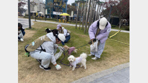 유기동물 보호 넘어 문화로… 입양과 연대 키우는 ‘반려마루’