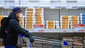 계란 가격 고공행진