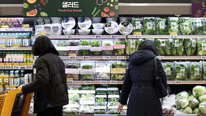 [사설]마트 판매 격감… 전통시장 아닌 쿠팡만 살찌운 유통 규제