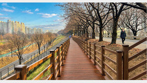 새해 손님 맞이 준비 끝, 힐링 시작