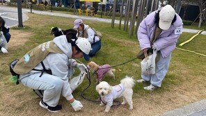 유기견 구조해 새 가족 품으로… 입양 활성화 ‘메카’