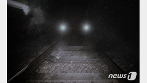 철로 빠진 승용차와 경의중앙선 열차 충돌…운전자는 대피