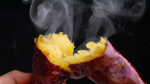 고구마 다이어트, 구워 먹으면 소용없다