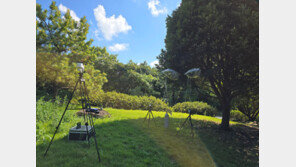 겨울에도 피톤치드 뿜뿜… 전남 난대숲 ‘숲의 숨결’ 가득