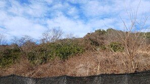 무등산 공유화운동 35년…시민 5만여명 참여 성과