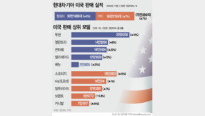 현대차·기아, 美 판매 또 신기록…지난해 175만대 돌파