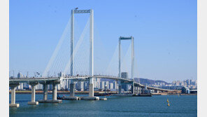 기네스북 오른 영종∼청라 다리, 명칭 분쟁에 이름 없이 개통