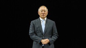 정의선 “中 판매·생산량 많이 떨어졌지만…겸손하게 늘려갈 계획”