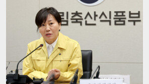 감염력 10배 높은 올겨울 AI …농식품부, 1월 특별 방역관리