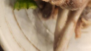 한 입 베어 물자 ‘악취’…유명 식당 닭똥 삼계탕 논란