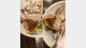 “한입 베어 물자 ‘닭똥’ 한가득”…송도 유명 삼계탕집 논란 [e글e글]