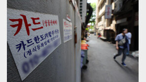 카드론 증가율 1년만에 최고…은행 대출 막히자 급전, 증시 빚투도 원인