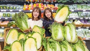 현대백화점, 31일까지 국내 개발 ‘아삭갓배추’ 판매… 4000원 내외