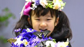 소한 추위 뚫고 날아오른 나비