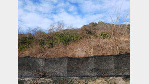 1000원씩 모아… 무등산 57만㎡ 지켰다