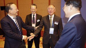 정의선 “中 판매·생산량 많이 떨어졌지만…겸손하게 늘려갈 계획”